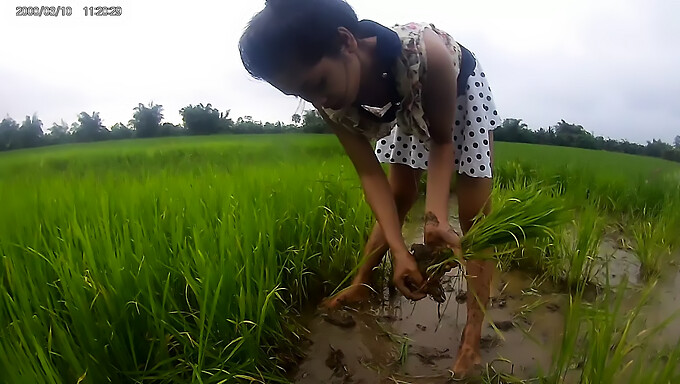 Chica Asiática Caliente En Los Campos De Arroz: Desnudez Pública Amateur