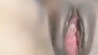 Belleza Negra Disfruta De Un Creampie En Su Culo