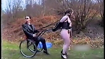 Training Bdsm: Ponygirls Come Schiave