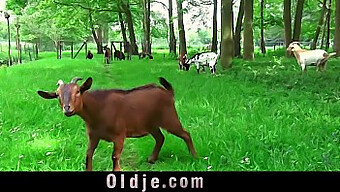 Стареющий Отчим Соблазняется Своей Маленькой Падчерицей На Горячий Тройничок.