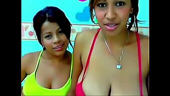 Thick Brunette Brazilian Lesbians Dulce And Ana