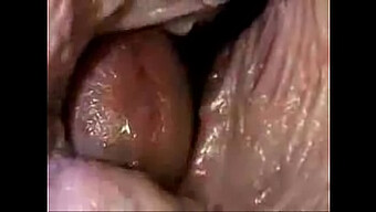 Inside Camera Captured Close-Up Of Vagina And Semen