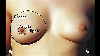 Compilation Of Different Types Of Big Boobs