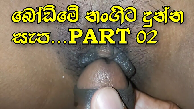 Srilankansk Coed Får En Cumshot I Denne Gruppesex-Video