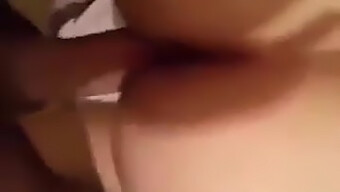 Una Bella Algerina Prende Un Grosso Cazzo In Hd