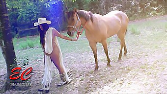 Payudara Alami Candy Terpampang Dalam Video Cowgirl Ini