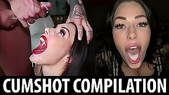 Shaiden Rogue'S Homemade Compilation Features A Brunette Slut Who Loves To Take It All